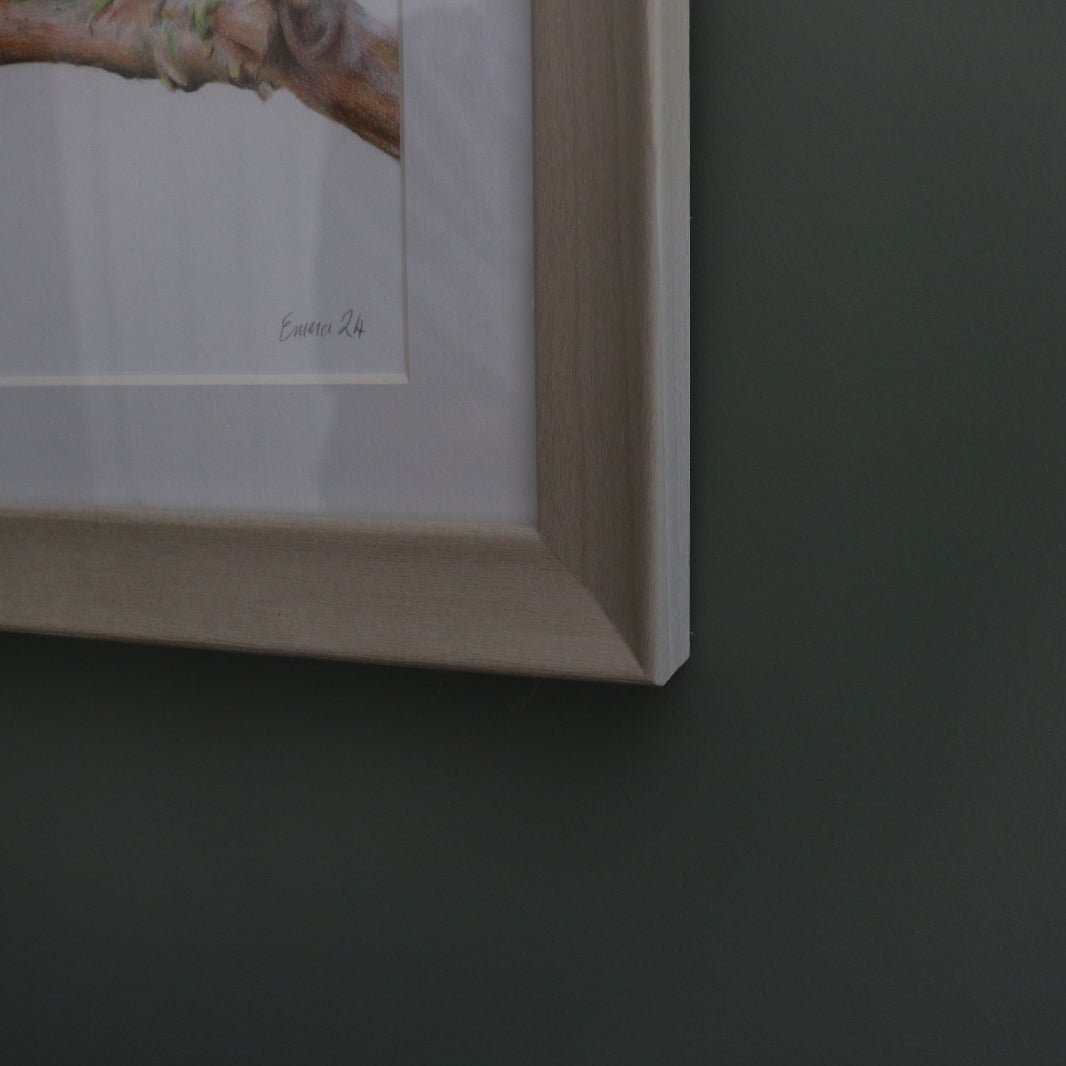 Goldfinch - Framed Original