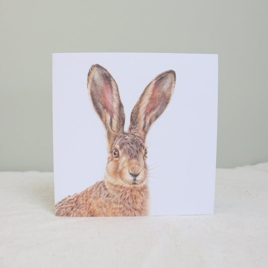 Hare Greetings Card