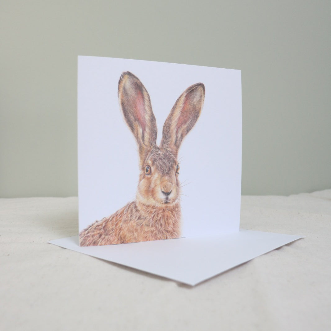Hare Greetings Card