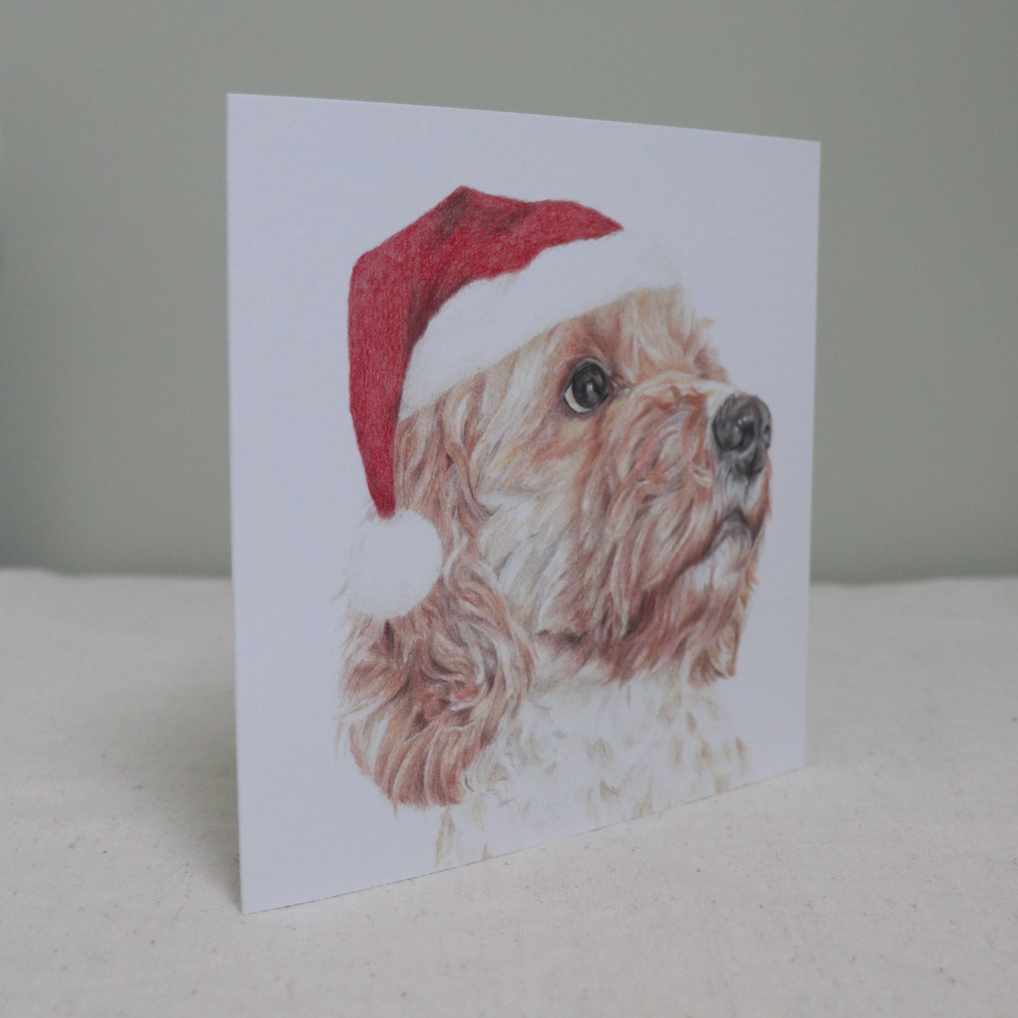 Cockapoo Christmas